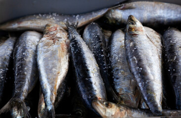 Sardinas frescas con sal listas para cocinar. Macro.