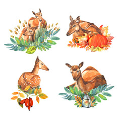 5 red cute deers lying in the grass with autumn leaves and pumpkin. Clip art. Isolateed elements on white background .
 Stock illustration. Hand painted in watercolor.