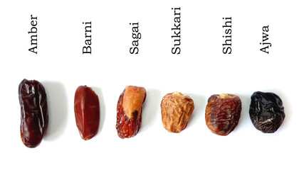 Most Famous Dates In The World Isolated on White Background