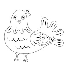 Funny pigeon, coloring picture for children