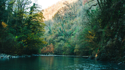 Mountain river in the forest