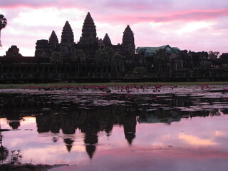 Fototapeta premium Amanecer en angkor wat 