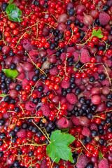 background of ripe juicy different berries