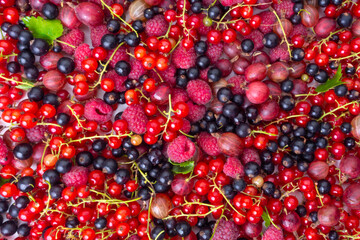 background of ripe juicy different berries