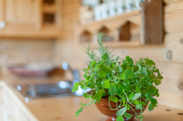 fresh herbs on a wooden board