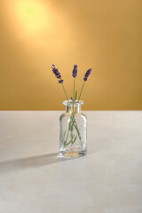 drei Lavendel Stiele in kleiner Apoteker Glas Flasche auf weißem Marmor Tisch mit gelbem Hintergrund