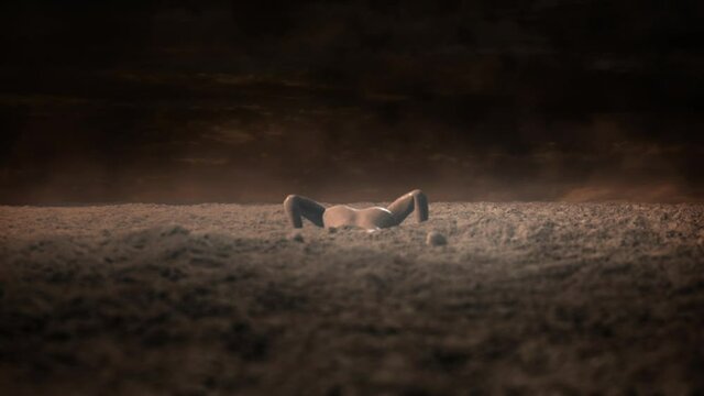 The Creation of Adam from the Earth Soil and Ground