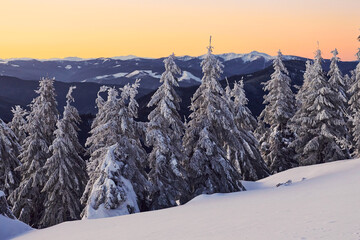 Fototapeta premium Beautiful majestic mountains at horizon. Magical winter landscape with snow covered trees at daytime