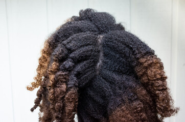 Natural Hair Curly Black Brown Highlights