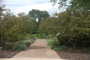 path in the park