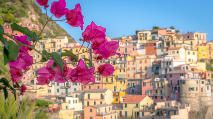 Port de Manarola, vue depuis le sentier de randonnée, village des Cinque terre inscrit au...