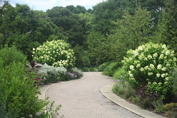 path in the garden