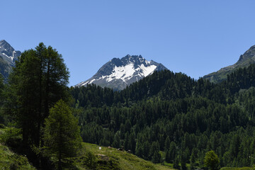 Paysage des Grisons 08