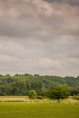 Fototapeta premium Paysage