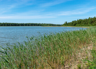 summer landscape with a traditional view from the Harilaiu peninsula on Saaremaa, Estonia