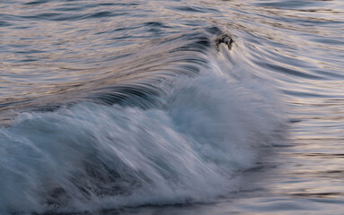 Fondo. Textura. Una pequeña ola con el brillo del atardecer,  rompe en la orilla 