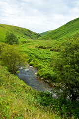 Fototapeta na wymiar The River Barle Valley, near Simonsbath, Exmoor, Somerset, England