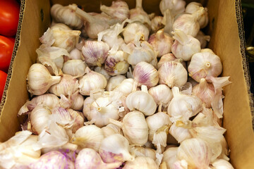 garlic at the supermarket kiosk. Fresh garlic on display in the grocery store.