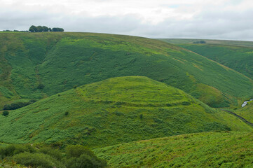 Obraz premium The River Barle Valley, near Simonsbath, Exmoor, Somerset, England