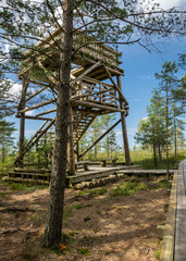 landscape with a wooden nature observation tower on the side of the bog, traditional bog vegetation background