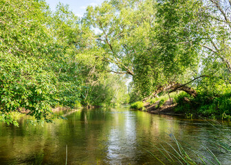 summer landscape with a small forest river, beautiful reflections in the water, summer wild river reflection landscape.