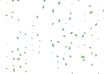 Light Multicolor, Rainbow vector doodle cover.