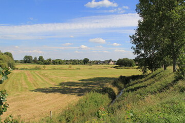 Obraz premium typical dutch landscape with a green meadow and a blue sky in summer at a hot day 