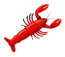 Vector illustration of red Lobster.