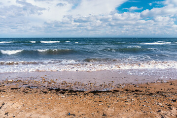 Surf in cloudy weather on a wild sandy beach