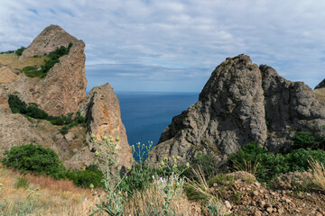 Fototapeta na wymiar Wild herbs and stones on a cliff above the sea