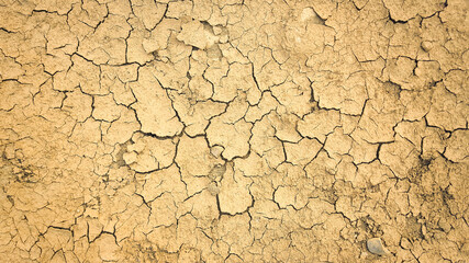Dry mud cracked ground texture. Drought season background