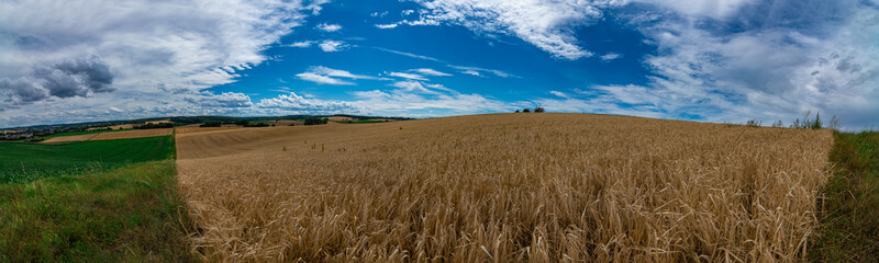 Panorama on some rural fields, with a blue sky and some clouds on it
