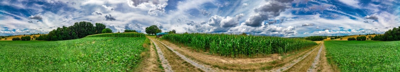Panorama on some rural fields, with a blue sky and some clouds on it