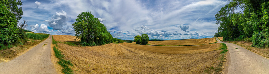 Fototapeta na wymiar Panorama on some rural fields, with a blue sky and some clouds on it