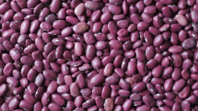 Grains of red beans close up, rotate counterclockwise, background video