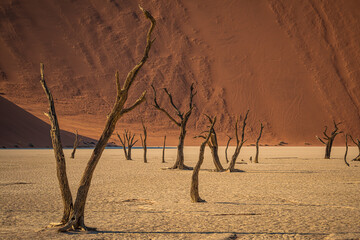 Deadvlei dunes, Namib Desert, Namibia