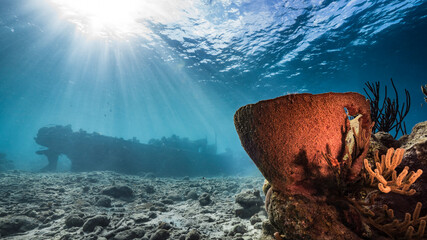 Ship wreck 