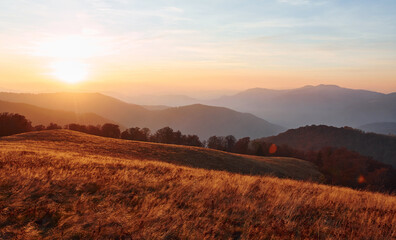 Majestic landscape of autumn trees and mountains by the horizon
