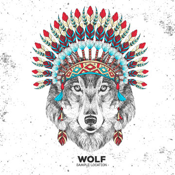 Hipster animal wolf with indian feather headdress. Hand drawing Muzzle of animal wolf