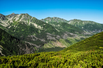 Fototapeta na wymiar Western Tatras scenery from saddle Zabrat, Slovakia, hiking theme