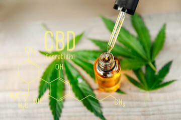 CBD Oil Macro Cannabis flower and marijuana leaves. Concept medical extracts hemp