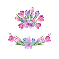watercolor flower arrangement with bouquets of spring crocuses