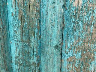 Fototapeta na wymiar light blue wooden house wall with peeling old paint, texture