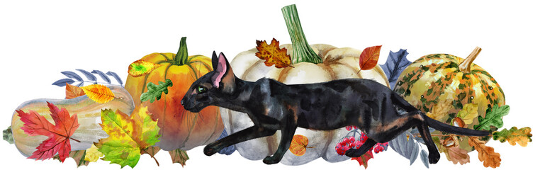 Black cat with pumpkin and autumn leaves