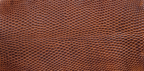 Texture of the brown leather of a young crocodile