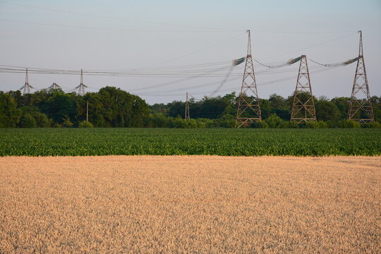 The power transmission line pylons in the field.