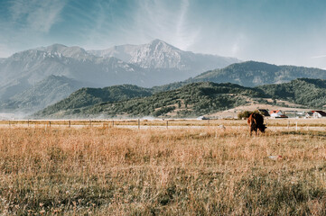 Beautiful mountain landscape in Carpathian mountains, Romania
