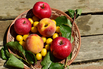 Percy, apples, and cherry plums are in a flat ceramic plate on a wooden table.