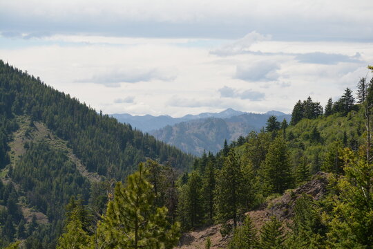 View From The Iron Bear Trail, Near Cle Elum, WA