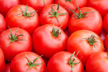 red tomatoes background. Group of tomatoes